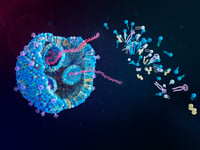 Rendering of lipid nanoparticle contents