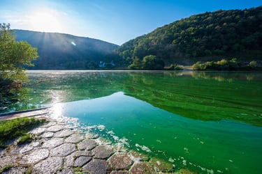 View of lake with green water