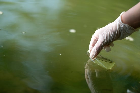 hand collecting water sample in greenish water