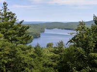 View of lake through the trees