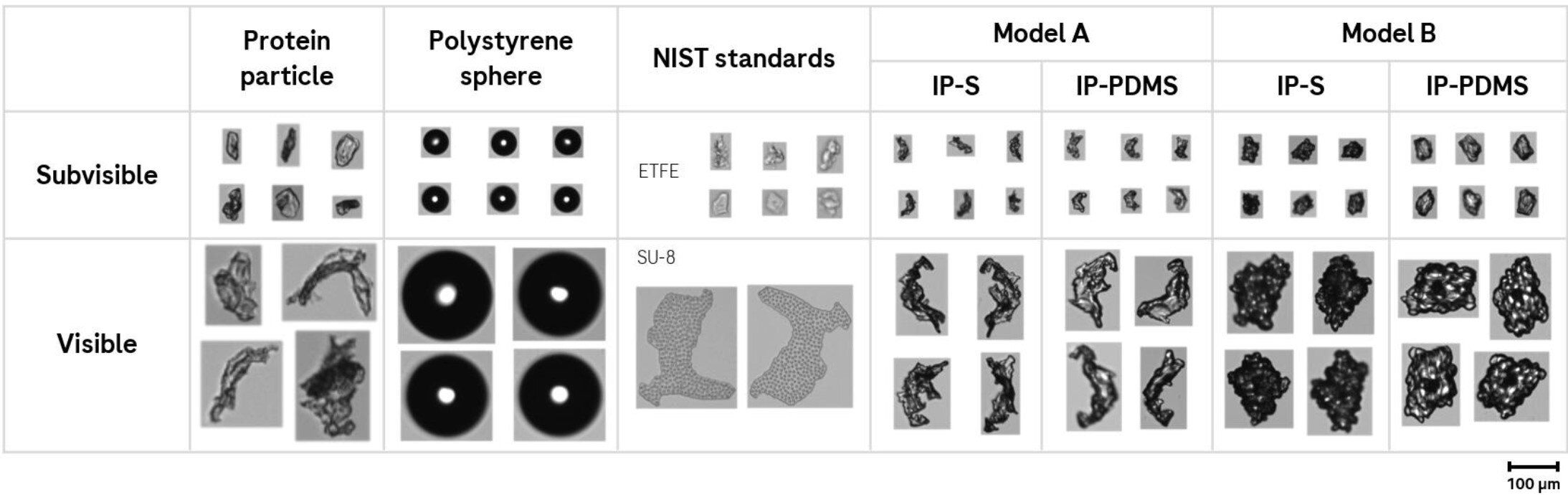 amara-et-al-figure-2