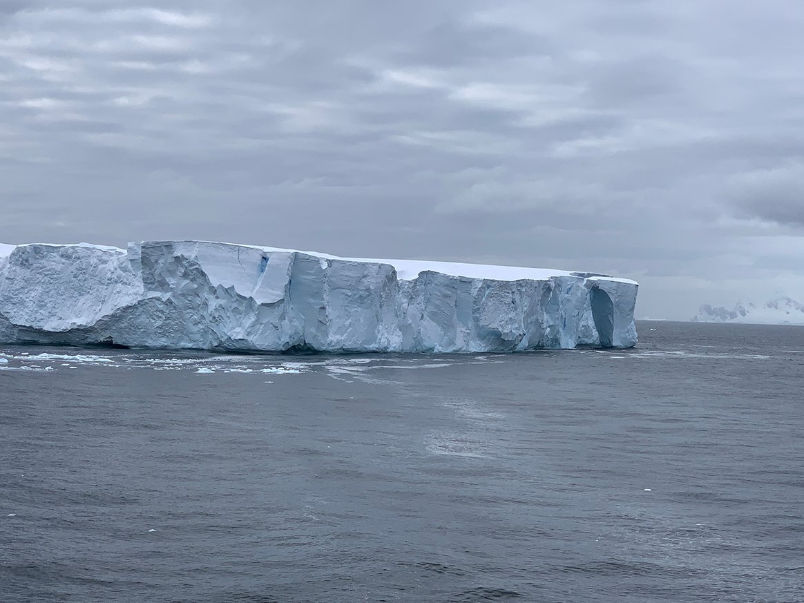 Citizen Science Meets Polar Plankton with Fjord Phyto