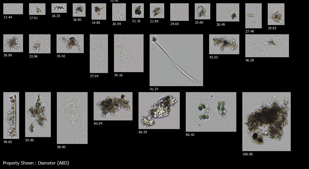 floc-images-FlowCam