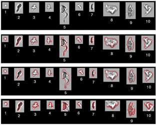 Biopharma particles with a variety of capture settings