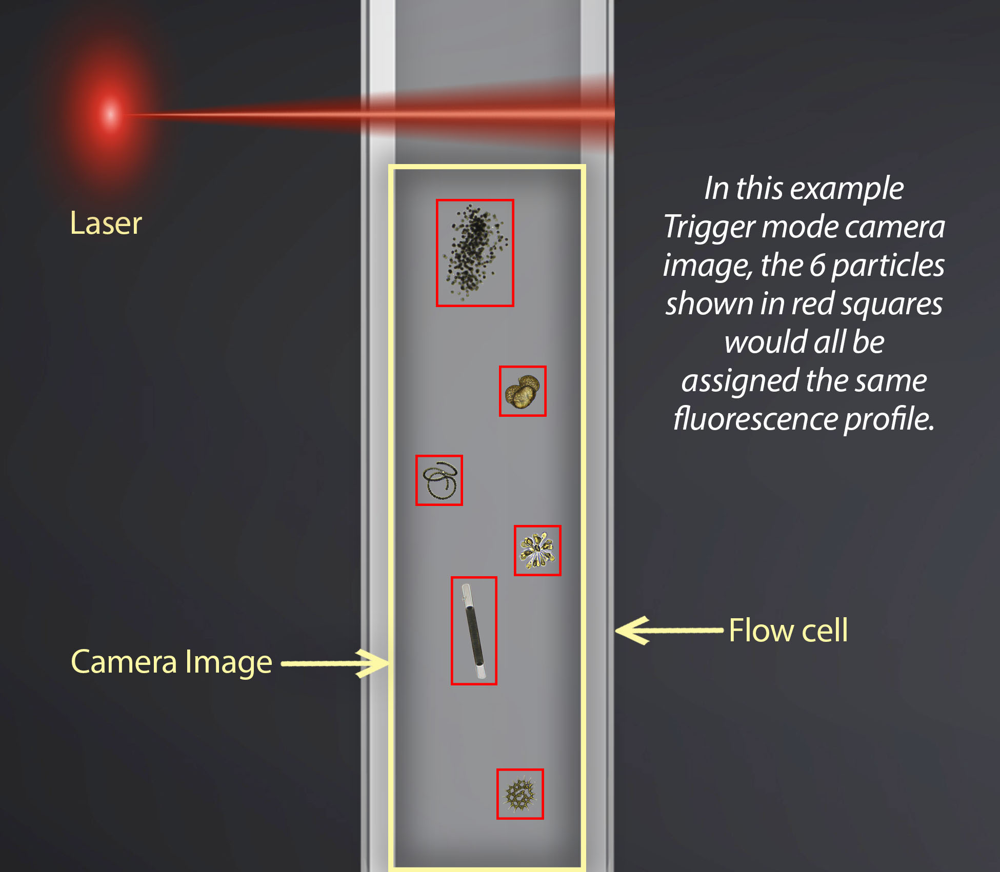 FlowCam 8400 trigger mode diagram