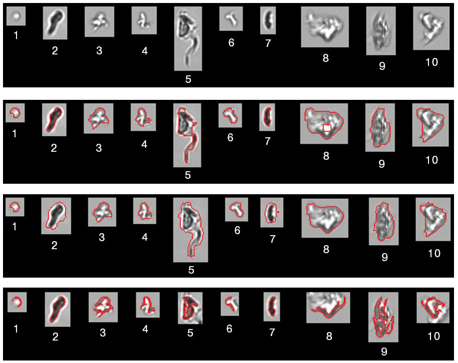 Particles showing edge trace on different capture settings